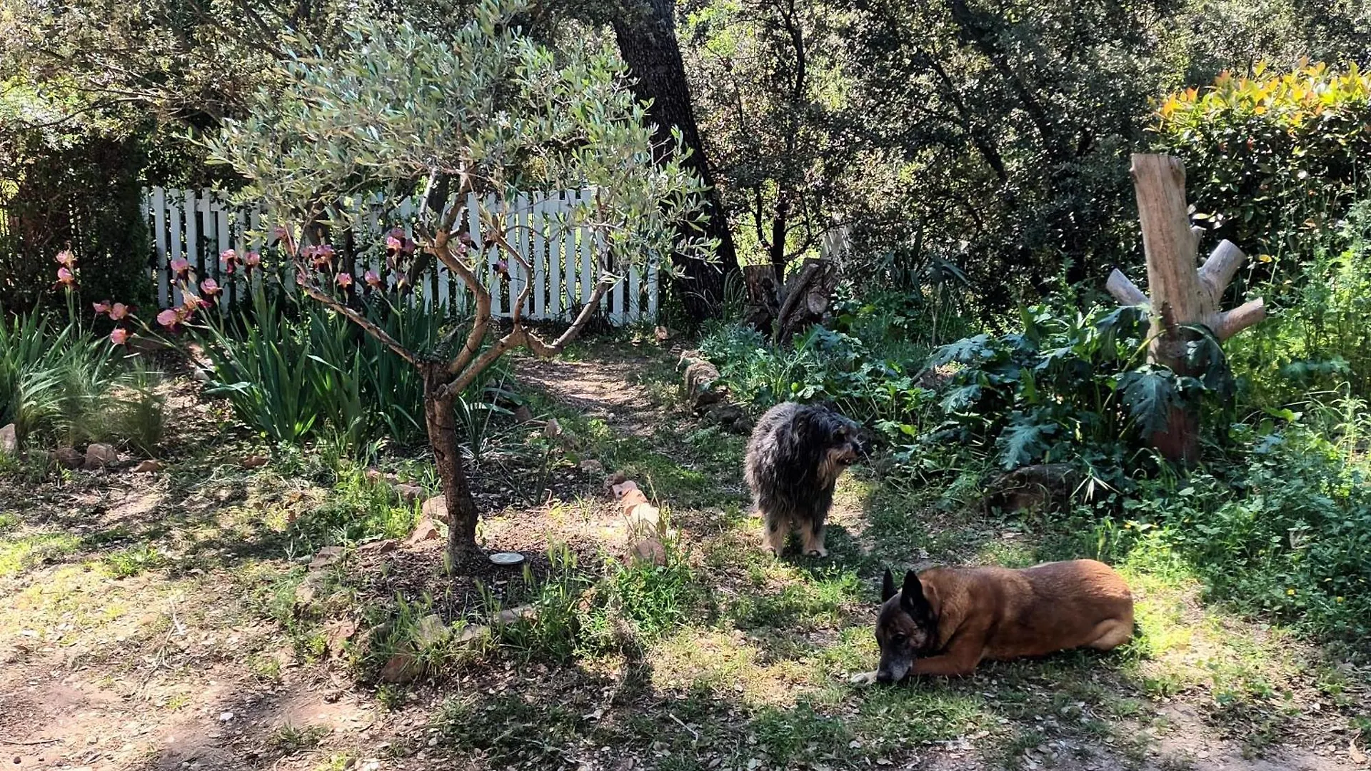 Charmant T2 Calme et nature à Puget-Ville, séjour de 2 nuits minimum, réservation au moins la veille Carnoules  Appartement Carnoules (Var)