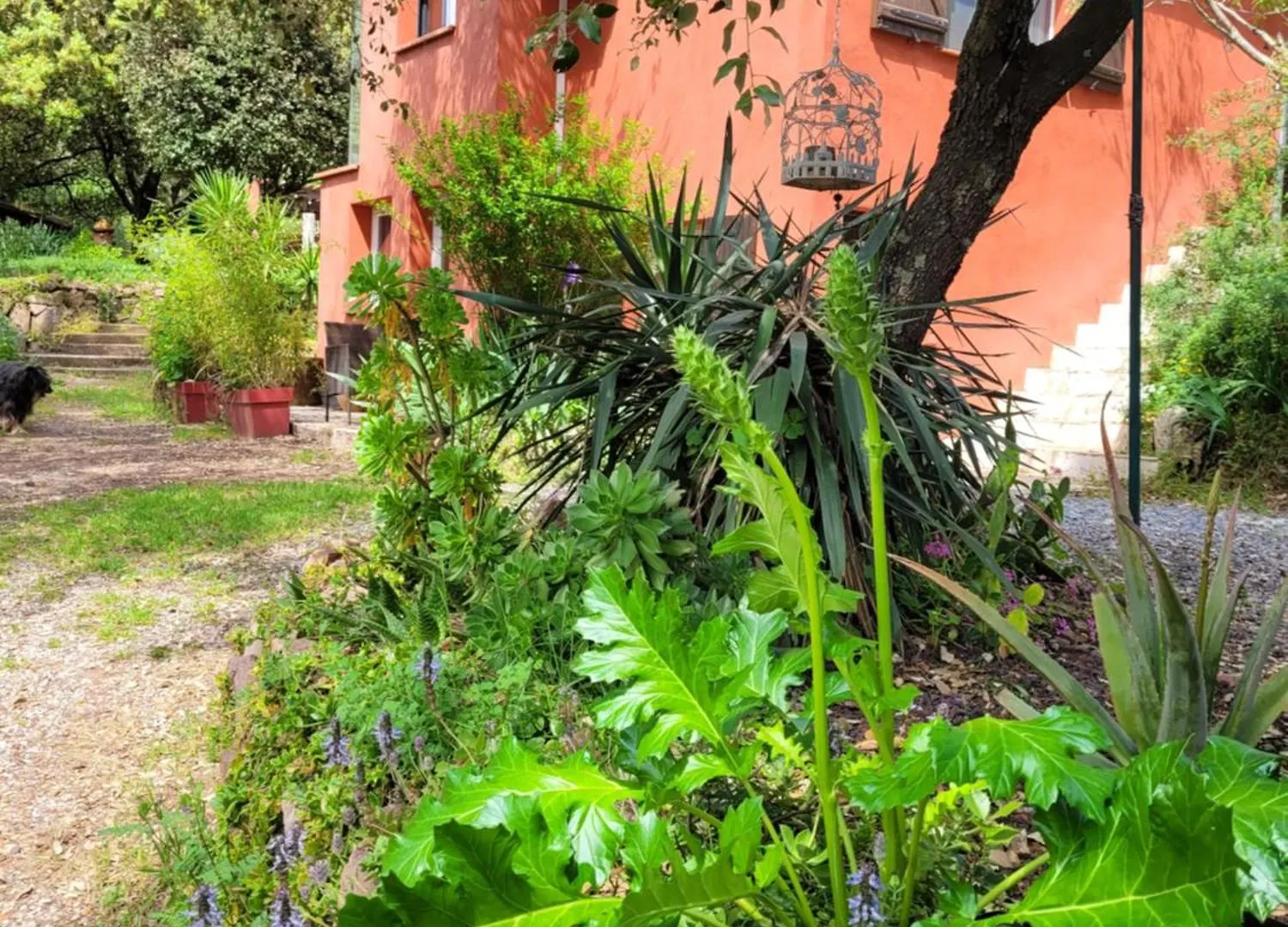 Appartement Charmant T2 Calme et nature à Puget-Ville, séjour de 2 nuits minimum, réservation au moins la veille Carnoules  France