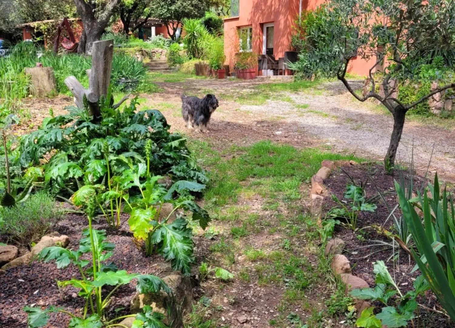 Appartement Charmant T2 Calme et nature à Puget-Ville, séjour de 2 nuits minimum, réservation au moins la veille Carnoules